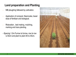 Land preparation and Planting 
- MB ploughing fallowed by cultivation. 
- Application of compost, Neemcake, basal 
dose of fertilizer and biological. 
- Rotavation , bed making, mulching, 
marking and trans planting. 
- Spacing 1.5m Furrow to furrow, row to row 
is 50cm and plant to plant 40 to 45cm. 
5 
 
