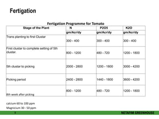 Fertigation 
8 
Fertigation Programme for Tomato 
Stage of the Plant N P2O5 K2O 
gm/Acr/dy gm/Acr/dy gm/Acr/dy 
Trans planting to first Clustar 
300 - 400 300 - 400 300 - 400 
First clustar to complete setting of 5th 
clustar. 800 - 1200 480 - 720 1200 - 1800 
5th clustar to picking 2000 - 2800 1200 - 1800 3000 - 4200 
Picking period 2400 - 2800 1440 - 1800 3600 - 4200 
8th week after picking 
800 - 1200 480 - 720 1200 - 1800 
calcium 60 to 100 ppm 
Magnicium 30 - 50 ppm 
 