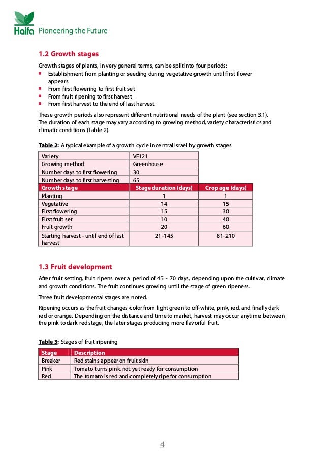 Tomato crop guide Tomato Fertilizer