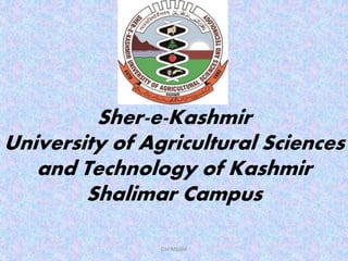 Sher-e-Kashmir
University of Agricultural Sciences
and Technology of Kashmir
Shalimar Campus
Dar Maajid
 