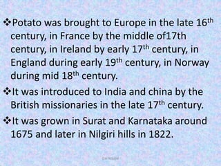 Potato was brought to Europe in the late 16th
century, in France by the middle of17th
century, in Ireland by early 17th century, in
England during early 19th century, in Norway
during mid 18th century.
It was introduced to India and china by the
British missionaries in the late 17th century.
It was grown in Surat and Karnataka around
1675 and later in Nilgiri hills in 1822.
Dar Maajid
 