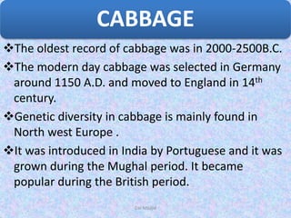 The oldest record of cabbage was in 2000-2500B.C.
The modern day cabbage was selected in Germany
around 1150 A.D. and moved to England in 14th
century.
Genetic diversity in cabbage is mainly found in
North west Europe .
It was introduced in India by Portuguese and it was
grown during the Mughal period. It became
popular during the British period.
CABBAGE
Dar Maajid
 