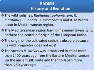 The wild radishes, Raphanus raphanistrum, R.
maritimus, R. landra, R. microcarpus and R. rostratus
occur in Mediterranean region.
The Mediterranean region having maximum diversity is,
perhaps the centre o f origin of the European radish.
The origin of the cultivated radish is obscure because
its wild progenitor does not exist.
The species R. sativus was introduced in china more
than 2400 years ago from the Eastern Mediterranean
via the ancient silk route and then to Japan more
than1250 years ago.
RADISH
History and Evolution
Dar Maajid
 