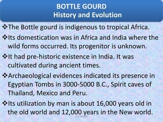The Bottle gourd is indigenous to tropical Africa.
Its domestication was in Africa and India where the
wild forms occurred. Its progenitor is unknown.
It had pre-historic existence in India. It was
cultivated during ancient times.
Archaeological evidences indicated its presence in
Egyptian Tombs in 3000-5000 B.C., Spirit caves of
Thailand, Mexico and Peru.
Its utilization by man is about 16,000 years old in
the old world and 12,000 years in the New world.
BOTTLE GOURD
History and Evolution
Dar Maajid
 