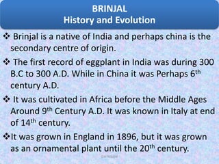 Brinjal is a native of India and perhaps china is the
secondary centre of origin.
 The first record of eggplant in India was during 300
B.C to 300 A.D. While in China it was Perhaps 6th
century A.D.
 It was cultivated in Africa before the Middle Ages
Around 9th Century A.D. It was known in Italy at end
of 14th century.
It was grown in England in 1896, but it was grown
as an ornamental plant until the 20th century.
BRINJAL
History and Evolution
Dar Maajid
 