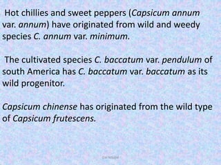 Hot chillies and sweet peppers (Capsicum annum
var. annum) have originated from wild and weedy
species C. annum var. minimum.
The cultivated species C. baccatum var. pendulum of
south America has C. baccatum var. baccatum as its
wild progenitor.
Capsicum chinense has originated from the wild type
of Capsicum frutescens.
Dar Maajid
 