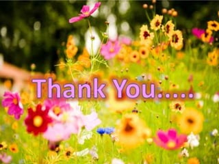 PROCESSED PRODUCTS OF TOMATO