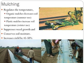 Mulching
 Regulates the temperature,
 Organic mulches decreases soil
temperature (summer use)
 Plastic mulches increase soil
temperature (winter use)
 Suppresses weed growth and
 Conserves soil moisture.
 Increases yield by 45-50%
(25micron in tomato)
 