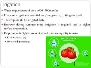 Irrigation
 Water requirement of crop : 600 -700mm/ha
 Frequent irrigation is essential for plant growth, fruiting and yield.
 The crop should be irrigated daily.
 However during summer more irrigation is required due to higher
surface evaporation.
 Drip system is highly economical and produces quality tomato.
 42% water saving
 60% yield increment
 