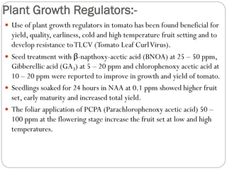 Plant Growth Regulators:-
 Use of plant growth regulators in tomato has been found beneficial for
yield, quality, earliness, cold and high temperature fruit setting and to
develop resistance toTLCV (Tomato Leaf CurlVirus).
 Seed treatment with β-napthoxy-acetic acid (BNOA) at 25 – 50 ppm,
Gibberellic acid (GA3) at 5 – 20 ppm and chlorophenoxy acetic acid at
10 – 20 ppm were reported to improve in growth and yield of tomato.
 Seedlings soaked for 24 hours in NAA at 0.1 ppm showed higher fruit
set, early maturity and increased total yield.
 The foliar application of PCPA (Parachlorophenoxy acetic acid) 50 –
100 ppm at the flowering stage increase the fruit set at low and high
temperatures.
 