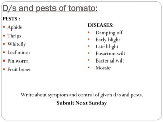 D/s and pests of tomato:
PESTS :
 Aphids
 Thrips
 Whitefly
 Leaf miner
 Pin worm
 Fruit borer
Write about symptom and control of given d/s and pests.
Submit Next Sunday
DISEASES:
• Damping off
• Early blight
• Late blight
• Fusarium wilt
• Bacterial wilt
• Mosaic
 