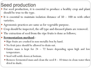 Seed production
 For seed production, it is essential to produce a healthy crop and plant
should be true to the type.
 It is essential to maintain isolation distance of 50 – 100 m with other
varieties.
 Agronomic practices are same as for vegetable purpose.
 Crop should be inspected, the off type and diseased plants are removed.
 The extraction of seed from the ripe fruits is done as follows;
 Fermentation method:-
 Ripe fruits are crushed in non-metallic box by hand.
 No fruit juice should be allowed to drain out.
 Entire mass is kept for 24 – 72 hours depending upon high and low
temperature.
 Seed will settle down at bottom.
 Remove fermented mass and clean the seed 8 – 10 times in clean water then
dried in shade.
 