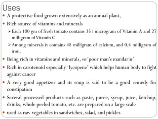 Uses
 A protective food grown extensively as an annual plant,
 Rich source of vitamins and minerals
Each 100 gm of fresh tomato contains 351 microgram of Vitamin A and 27
milligram ofVitamin C.
Among minerals it contains 48 milligram of calcium, and 0.4 milligram of
iron.
 Being rich in vitamins and minerals, so‘poor man’s mandarin’
 Rich in carotenoid especially ‘lycopene’ which helps human body to fight
against cancer
 A very good appetizer and its soup is said to be a good remedy for
constipation
 Several processed products such as paste, puree, syrup, juice, ketchup,
drinks, whole peeled tomato, etc. are prepared on a large scale
 used as raw vegetables in sandwiches, salad, and pickles
 