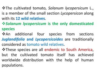 The cultivated tomato, Solanum lycopersicum L.,
is a member of the small section Lycopersicon along
with its 12 wild relatives.
Solanum lycopersicum is the only domesticated
species
An additional four species from sections
Juglandifolia and Lycopersicoides are traditionally
considered as tomato wild relatives.
These species are all endemic to South America,
but the cultivated tomato itself has achieved
worldwide distribution with the help of human
populations.
 