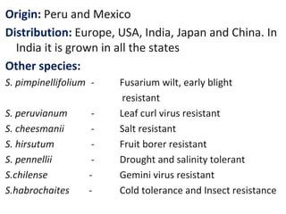 Origin: Peru and Mexico
Distribution: Europe, USA, India, Japan and China. In
India it is grown in all the states
Other species:
S. pimpinellifolium - Fusarium wilt, early blight
resistant
S. peruvianum - Leaf curl virus resistant
S. cheesmanii - Salt resistant
S. hirsutum - Fruit borer resistant
S. pennellii - Drought and salinity tolerant
S.chilense - Gemini virus resistant
S.habrochaites - Cold tolerance and Insect resistance
 