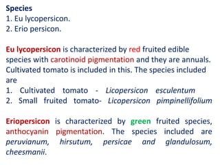 Species
1. Eu lycopersicon.
2. Erio persicon.
Eu lycopersicon is characterized by red fruited edible
species with carotinoid pigmentation and they are annuals.
Cultivated tomato is included in this. The species included
are
1. Cultivated tomato - Licopersicon esculentum
2. Small fruited tomato- Licopersicon pimpinellifolium
Eriopersicon is characterized by green fruited species,
anthocyanin pigmentation. The species included are
peruvianum, hirsutum, persicae and glandulosum,
cheesmanii.
 