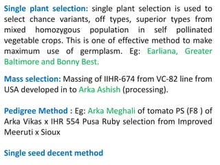 Single plant selection: single plant selection is used to
select chance variants, off types, superior types from
mixed homozygous population in self pollinated
vegetable crops. This is one of effective method to make
maximum use of germplasm. Eg: Earliana, Greater
Baltimore and Bonny Best.
Mass selection: Massing of IIHR-674 from VC-82 line from
USA developed in to Arka Ashish (processing).
Pedigree Method : Eg: Arka Meghali of tomato PS (F8 ) of
Arka Vikas x IHR 554 Pusa Ruby selection from Improved
Meeruti x Sioux
Single seed decent method
 