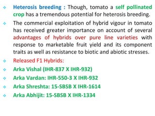  Heterosis breeding : Though, tomato a self pollinated
crop has a tremendous potential for heterosis breeding.
 The commercial exploitation of hybrid vigour in tomato
has received greater importance on account of several
advantages of hybrids over pure line varieties with
response to marketable fruit yield and its component
traits as well as resistance to biotic and abiotic stresses.
 Released F1 Hybrids:
 Arka Vishal (IHR-837 X IHR-932)
 Arka Vardan: IHR-550-3 X IHR-932
 Arka Shreshta: 15-SBSB X IHR-1614
 Arka Abhijit: 15-SBSB X IHR-1334
 
