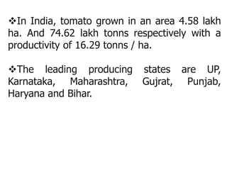 In India, tomato grown in an area 4.58 lakh
ha. And 74.62 lakh tonns respectively with a
productivity of 16.29 tonns / ha.
The leading producing states are UP,
Karnataka, Maharashtra, Gujrat, Punjab,
Haryana and Bihar.
 