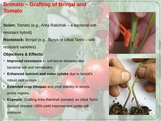 Advance production technology of Tomatos | PPTX