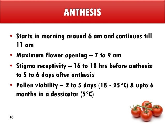 days after anthesis Effects of high temperature after anthesis on starch granules in environments where temperatures rise above 30°c during the first 14 days after anthesis. days after anthesis Effects of high temperature after anthesis on starch granules in environments where temperatures rise above 30°c during the first 14 days after anthesis.