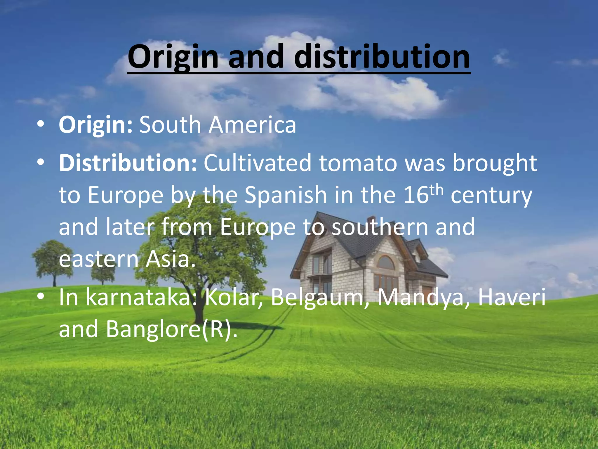 Origin and distribution
• Origin: South America
• Distribution: Cultivated tomato was brought
to Europe by the Spanish in the 16th century
and later from Europe to southern and
eastern Asia.
• In karnataka: Kolar, Belgaum, Mandya, Haveri
and Banglore(R).
 