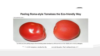 Tomato peeling PDF