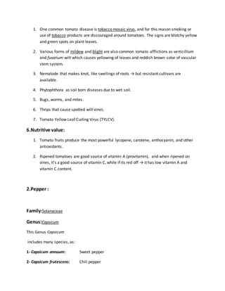 1. One common tomato disease is tobacco mosaic virus, and for this reason smoking or
use of tobacco products are discouraged around tomatoes. The signs are blotchy yellow
and green spots on plant leaves.
2. Various forms of mildew and blight are also common tomato afflictions as verticillium
and fusarium wilt which causes yellowing of leaves and reddish brown color of vascular
stem system.
3. Nematode that makes knot, like swellings of roots → but resistant cultivars are
available.
4. Phytophthora as soil born diseases due to wet soil.
5. Bugs, worms, and mites.
6. Thrips that cause spotted wilt vines.
7. Tomato Yellow Leaf Curling Virus (TYLCV).
6.Nutritive value:
1. Tomato fruits produce the most powerful lycopene, carotene, anthocyanin, and other
antioxidants.
2. Ripened tomatoes are good source of vitamin A (provitamin), and when ripened on
vines, it’s a good source of vitamin C, while if its red off → it has low vitamin A and
vitamin C content.
2.Pepper :
Family:Solanaceae
Genus:Capsicum
This Genus Capsicum
includes many species, as:
1- Capsicum annuum: Sweet pepper
2- Capsicum frutescens: Chili pepper
 