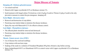Major Disease of Tomato
Damping off : Pythium aphanidermatum
• Use raised seed bed
• Drench with Copper oxychloride 0.2% or Bordeaux mixture 1%.
• Seed treatment with fungal culture Trichoderma viride (4 g/kg of seed) or Thiram (3 g/kg of seed) is the only
preventive measure to control the pre-emergence damping off.
Early Blight: Alternaria solani
• Removal and destruction of crop debris.
• Practicing crop rotation helps to minimize the disease incidence.
• Spray the crop with Mancozeb 0.2 % for effective disease control.
Late blight - Phytophthora infestans
• The affected plants should be removed and destroyed.
• Practicing crop rotation helps to minimize the disease incidence.
• Drench w
Mosaic: Tomato mosaic virus (TMV)
• Use of disease-free seed and seedlings.
• Crop rotation with non-host crops.
• Soaking of the seeds in a solution of Trisodium Phosphate (90 g/litre ofwater) a day before sowing.
• Spray Imidachloprid 0.05 % or Dimethoate 0.05% to control vector with Copper oxychloride 0.2% or Bordeaux
mixture 1%.
 
