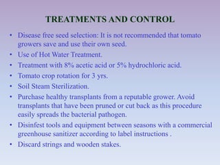 TREATMENTS AND CONTROL
• Disease free seed selection: It is not recommended that tomato
growers save and use their own seed.
• Use of Hot Water Treatment.
• Treatment with 8% acetic acid or 5% hydrochloric acid.
• Tomato crop rotation for 3 yrs.
• Soil Steam Sterilization.
• Purchase healthy transplants from a reputable grower. Avoid
transplants that have been pruned or cut back as this procedure
easily spreads the bacterial pathogen.
• Disinfest tools and equipment between seasons with a commercial
greenhouse sanitizer according to label instructions .
• Discard strings and wooden stakes.
 
