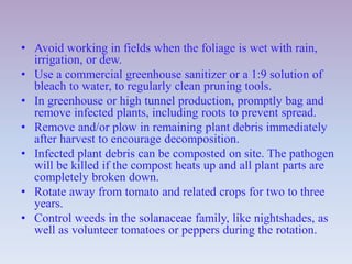 • Avoid working in fields when the foliage is wet with rain,
irrigation, or dew.
• Use a commercial greenhouse sanitizer or a 1:9 solution of
bleach to water, to regularly clean pruning tools.
• In greenhouse or high tunnel production, promptly bag and
remove infected plants, including roots to prevent spread.
• Remove and/or plow in remaining plant debris immediately
after harvest to encourage decomposition.
• Infected plant debris can be composted on site. The pathogen
will be killed if the compost heats up and all plant parts are
completely broken down.
• Rotate away from tomato and related crops for two to three
years.
• Control weeds in the solanaceae family, like nightshades, as
well as volunteer tomatoes or peppers during the rotation.
 