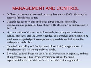 MANAGEMENT AND CONTROL
• Difficult to control and no single strategy has shown 100% efficiency in
control of the disease so far.
• Bactericides (copper) and antibiotics (streptomycin, ampicillin,
tetracycline and penicillin) have shown little efficiency on suppression in
the field.
• A combination of diverse control methods, including host resistance,
cultural practices, and the use of chemical or biological control should be
used in an integrated pest management approach to control where the
pathogen is established.
• Chemical control by soil fumigation (chloropicrin) or application of
phosphorous acid is also expensive to apply.
• Biological control, based on use of R. solanacearum antagonists, and use
of suppressive soils has shown promising results at the small
experimental scale, but still needs to be validated at a larger scale.
 