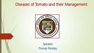 Diseases of Tomato and their Management
Speaker
Pranay Pandey
 