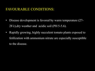 FAVOURABLE CONDITIONS:
• Disease development is favored by warm temperature (27-
28 ̊c),dry weather and acidic soil (PH 5-5.6).
• Rapidly growing, highly succulent tomato plants exposed to
fetilization with ammonium nitrate are especially susceptible
to the disease.
 