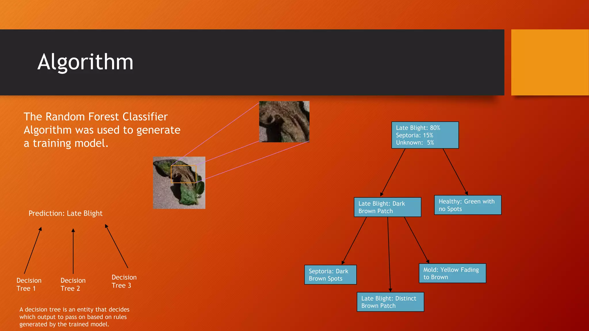 Algorithm
The Random Forest Classifier
Algorithm was used to generate
a training model.
Decision
Tree 1
Decision
Tree 2
Decision
Tree 3
Prediction: Late Blight
A decision tree is an entity that decides
which output to pass on based on rules
generated by the trained model.
Late Blight: 80%
Septoria: 15%
Unknown: 5%
Late Blight: Dark
Brown Patch
Healthy: Green with
no Spots
Septoria: Dark
Brown Spots
Mold: Yellow Fading
to Brown
Late Blight: Distinct
Brown Patch
 