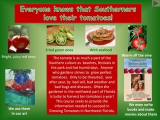 Everyone knows that Southerners  love their tomatoes! With seafood Fried green ones Warm off the vine  Bright, juicy red ones The tomato is as much a part of the Southern culture as  beaches, festivals in the park and hot humid days.  Anyone who gardens strives to  grow perfect  tomatoes.  Only to be thwarted,  year after year, by  bad soil, bad weather and  bad bugs and diseases.  Often the gardener In the northwest part of Florida is lucky to harvest ten tomatoes a year!   This course seeks to provide the information needed to succeed in Growing Tomatoes in Northwest Florida.  We even write  books and make movies about them We use them In our art 