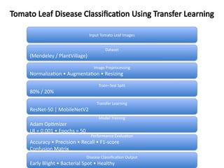 Advanced Tomato Leaf Disease Classification Using Transfer Learning ...