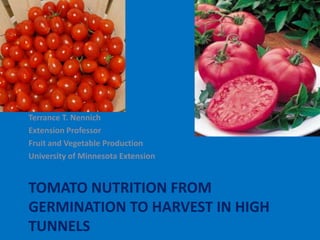 Terrance T. Nennich
Extension Professor
Fruit and Vegetable Production
University of Minnesota Extension


TOMATO NUTRITION FROM
GERMINATION TO HARVEST IN HIGH
TUNNELS
 