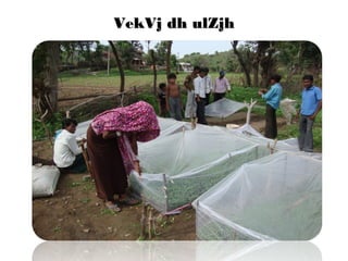 VekVj dh ulZjhVekVj dh ulZjh
 