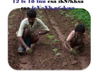 12 ls 18 fnu esa ikS?kksa
esa feV~Vh p<-k;sa
 