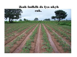 ikuh fudklh ds fy;s ukyh
cuk,
 