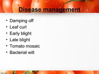 Disease management
• Damping off
• Leaf curl
• Early blight
• Late blight
• Tomato mosaic
• Bacterial wilt
 