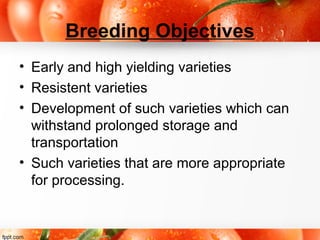 Breeding Objectives
• Early and high yielding varieties
• Resistent varieties
• Development of such varieties which can
withstand prolonged storage and
transportation
• Such varieties that are more appropriate
for processing.
 