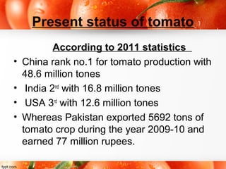 Present status of tomato
According to 2011 statistics
• China rank no.1 for tomato production with
48.6 million tones
• India 2nd
with 16.8 million tones
• USA 3rd
with 12.6 million tones
• Whereas Pakistan exported 5692 tons of
tomato crop during the year 2009-10 and
earned 77 million rupees.
 