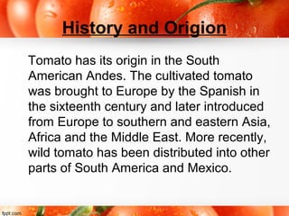 History and Origion
Tomato has its origin in the South
American Andes. The cultivated tomato
was brought to Europe by the Spanish in
the sixteenth century and later introduced
from Europe to southern and eastern Asia,
Africa and the Middle East. More recently,
wild tomato has been distributed into other
parts of South America and Mexico.
 