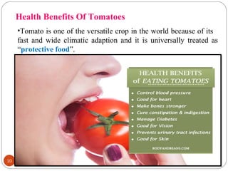 10
Health Benefits Of Tomatoes
•Tomato is one of the versatile crop in the world because of its
fast and wide climatic adaption and it is universally treated as
“protective food”.
 