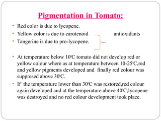 Pigmentation in Tomato:
• Red color is due to lycopene.
• Yellow color is due to carotenoid antioxidants
• Tangerine is due to pro-lycopene.
• At temperature below 100
C tomato did not develop red or
yellow colour where as at temperature between 10-250
C,red
and yellow pigments developed and finally red colour was
suppresed above 300
C.
• If the temperature lower than 300
C was restored,red colour
again developed and at the temperature above 400
C,lycopene
was destroyed and no red colour development took place.
 