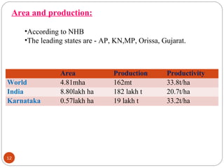 12
Area and production:
•According to NHB
•The leading states are - AP, KN,MP, Orissa, Gujarat.
Area Production Productivity
World 4.81mha 162mt 33.8t/ha
India 8.80lakh ha 182 lakh t 20.7t/ha
Karnataka 0.57lakh ha 19 lakh t 33.2t/ha
 
