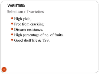 Selection of varieties
21
High yield.
Free from cracking.
Disease resistance.
High percentage of no. of fruits.
Good shelf life & TSS.
VARIETIES:
 