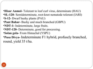 25
•Hisar Anmol- Tolerant to leaf curl virus, determinate (HAU)
•SL-120- Semideterminate, root-knot nematode tolerant (IARI)
•S-12- Dwarf bushy plants (PAU)
•Pant Bahar- Bushy and much branched (GBPU)
•NDT-1- Indeterminate, large fruits.
•NDT-120- Determinate, good for processing.
•Solan gola- From Himachal (YSPU)
•Pusa Divya- Indeterminate F1 hybrid, profusely branched,
round, yield 35 t/ha.
 